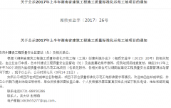 湖南省建筑工程施工質(zhì)量標(biāo)準(zhǔn)化示范工地項目 湖南省建筑工程施工質(zhì)量標(biāo)準(zhǔn)化示范工地項目